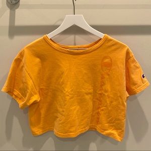 Champion Crop Top